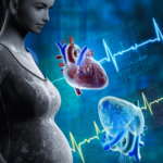 Researchers identify key stress response pathway disruption in pregnancy-related heart failure